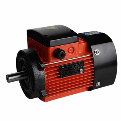 Quais são as opções de controle para um motor de bomba de água vertical?